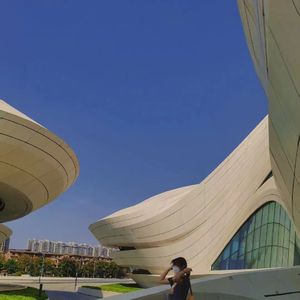 亂倫近親相姦中文字幕的编剧是谁
